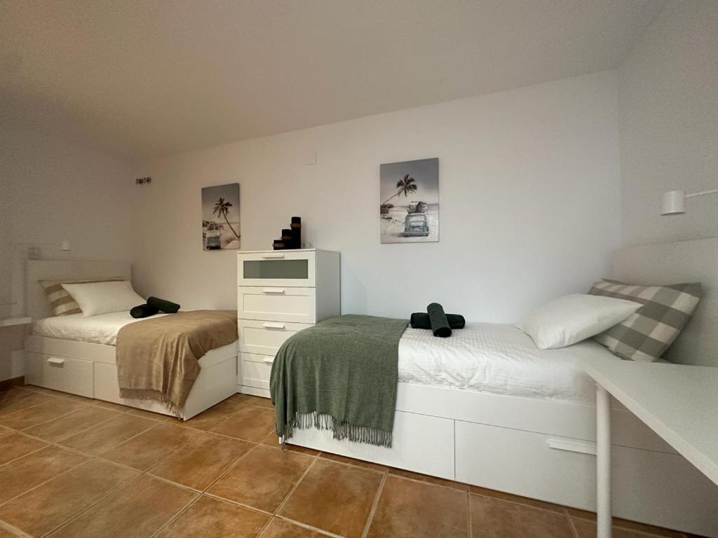 Casa Cullerer Daire Amposta Dış mekan fotoğraf